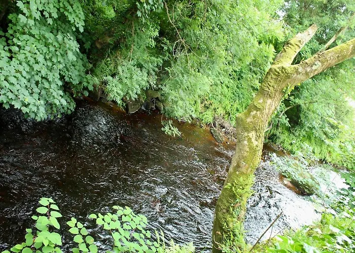 Riverside Haven In Daire *